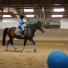 Ponyralley 126